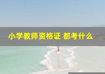 小学教师资格证 都考什么